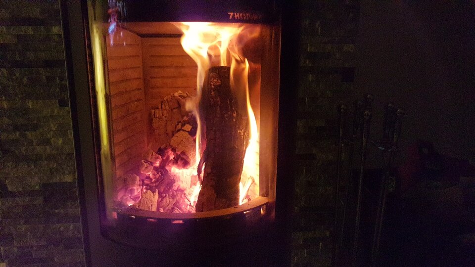 20201010_230153.jpg - zielonoannaion10