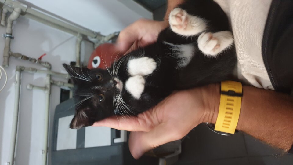 20200925_102925.jpg - RudyLis13