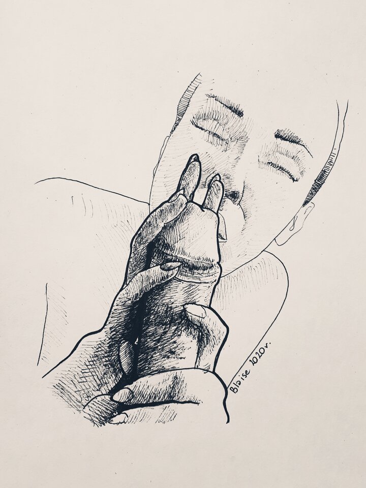 Art. No 50 - blaise8