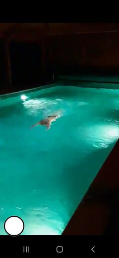 Screenshot_20200922-202938_Video Player.jpg