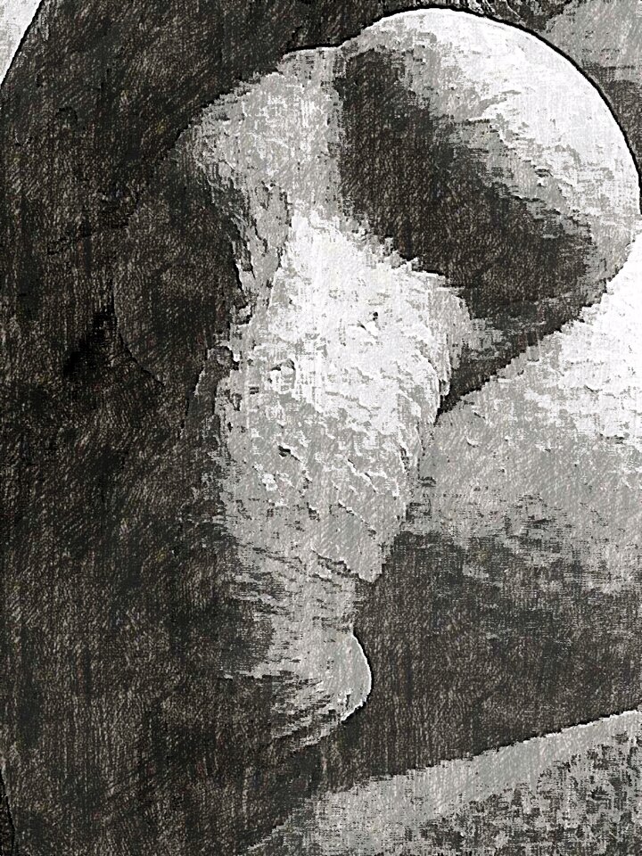 JPG_1602480119458.jpg - dino8