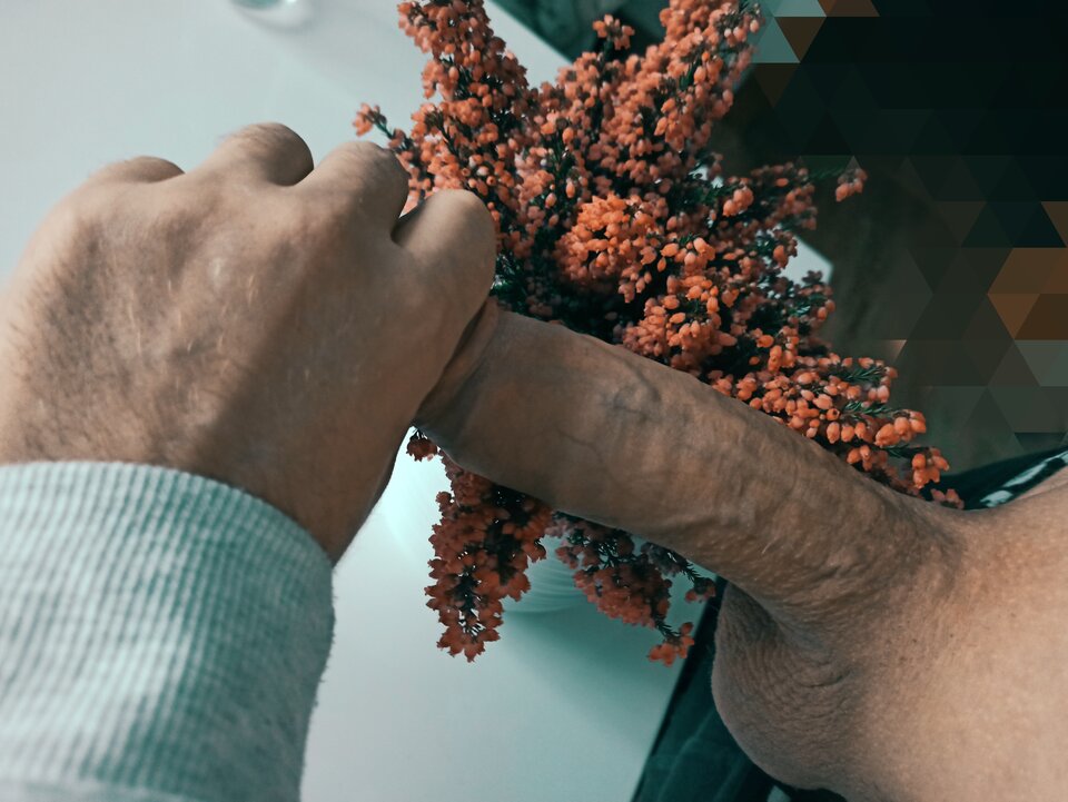 wrzosik.jpg - drapudrapu