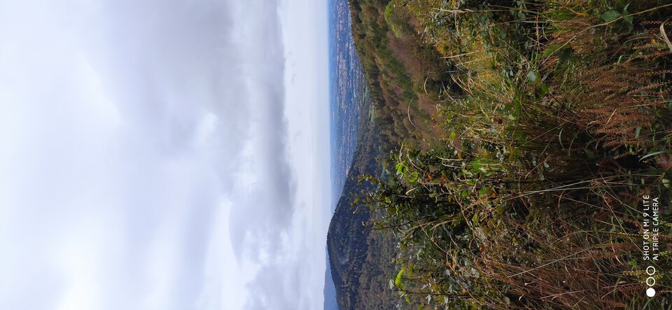 IMG_20201014_095505.jpg - Daw199117