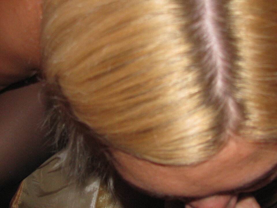 IMG_0144.JPG - Transpola