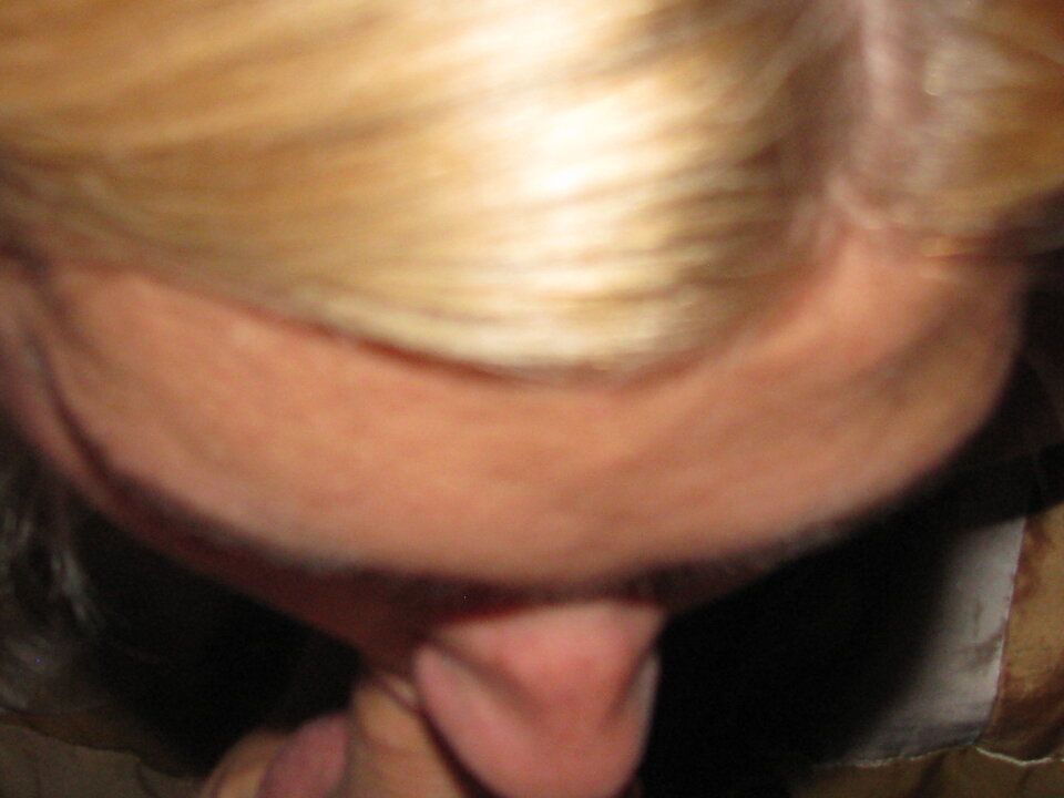 IMG_0147.JPG - Transpola