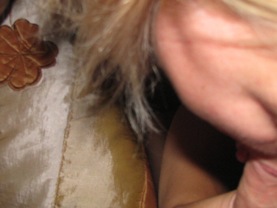 IMG_0152.JPG - Transpola