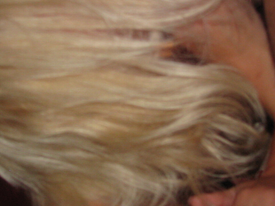 IMG_0166.JPG - Transpola