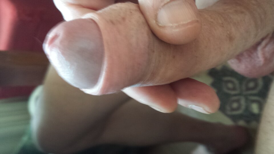 20170531_163826.jpg - szunaj9990