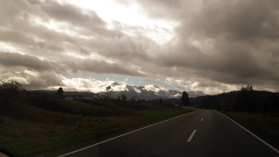 20201015_122045.jpg - tropiciel123