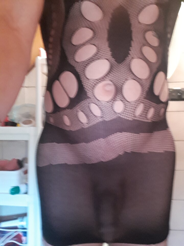 16027634732544642675559561918468.jpg - Transpola