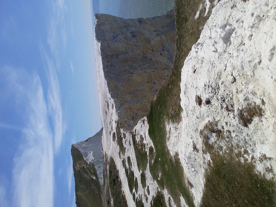 20200520_115418.jpg - JohnUK