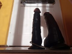 IMG_20200911_170252.jpg