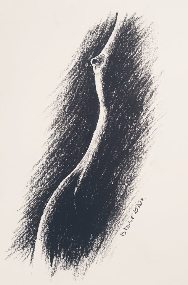 Art. No 53 - blaise8
