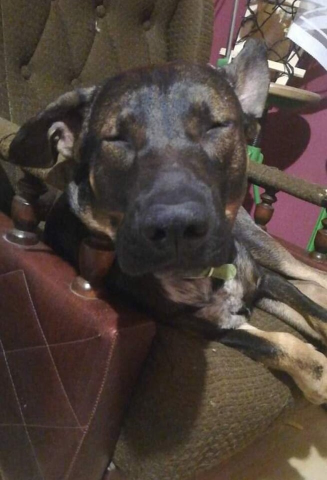 IMG_20201017_082800.jpg - Roderich30