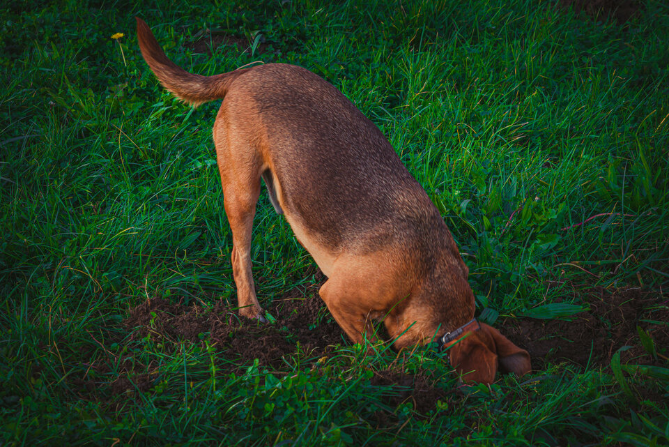 Zanurzenie... - mystic