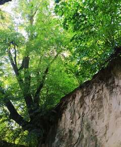 IMG_20201017_234031.jpg