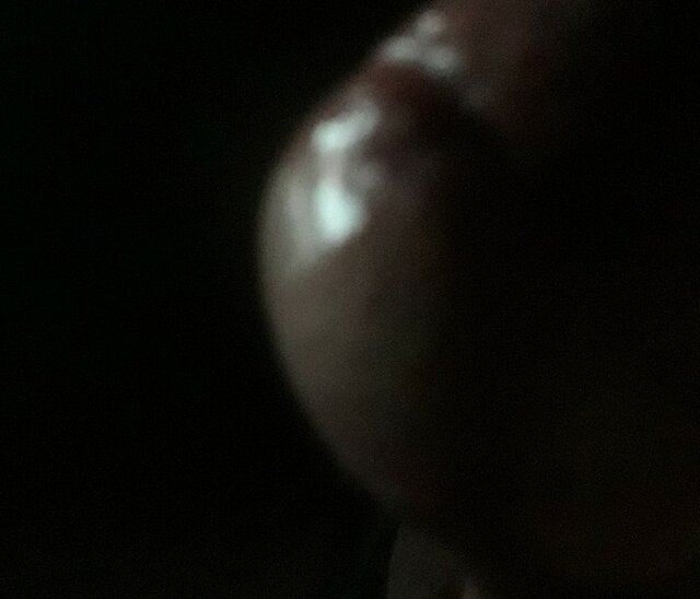 Resized_20201013_190211.jpeg - KKKS7072