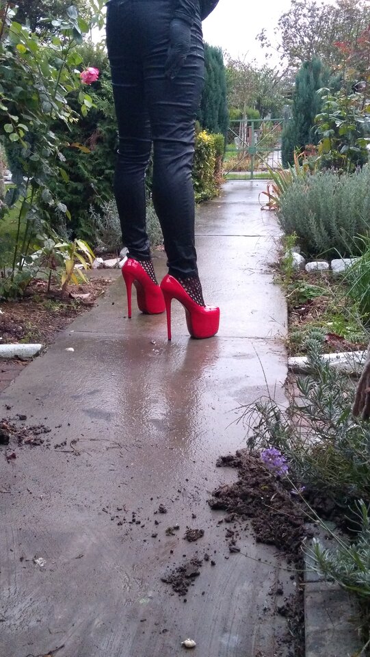 IMG_20201018_175719.jpg - unialeszno