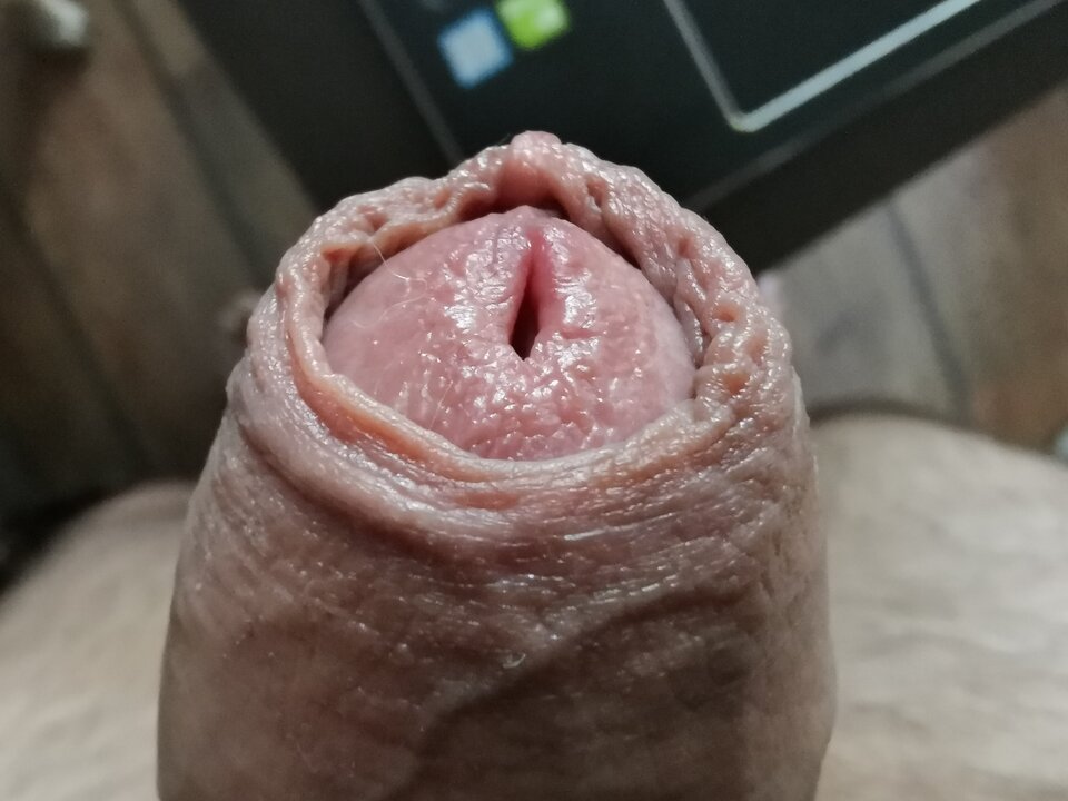 IMG_20201019_141030.jpg - shywife69