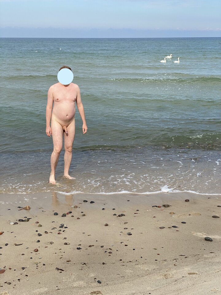 Iafdr5412.jpeg - lelandpalmer80