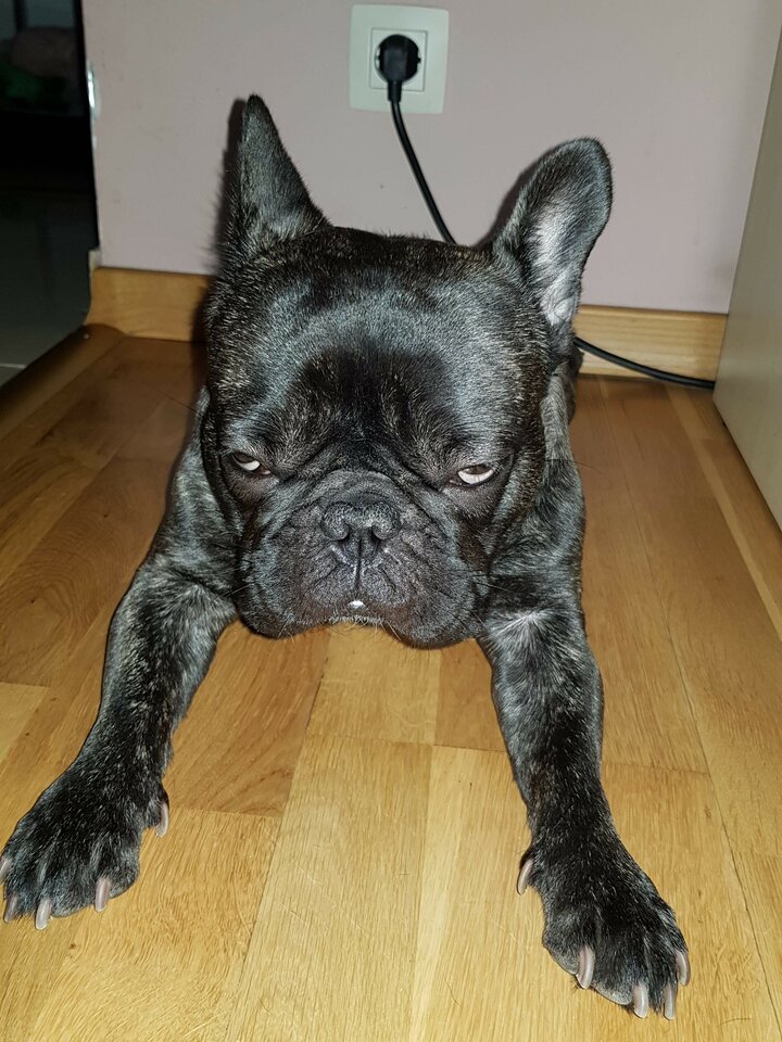 received_1902879979833552.jpeg - Kolo_luzak87