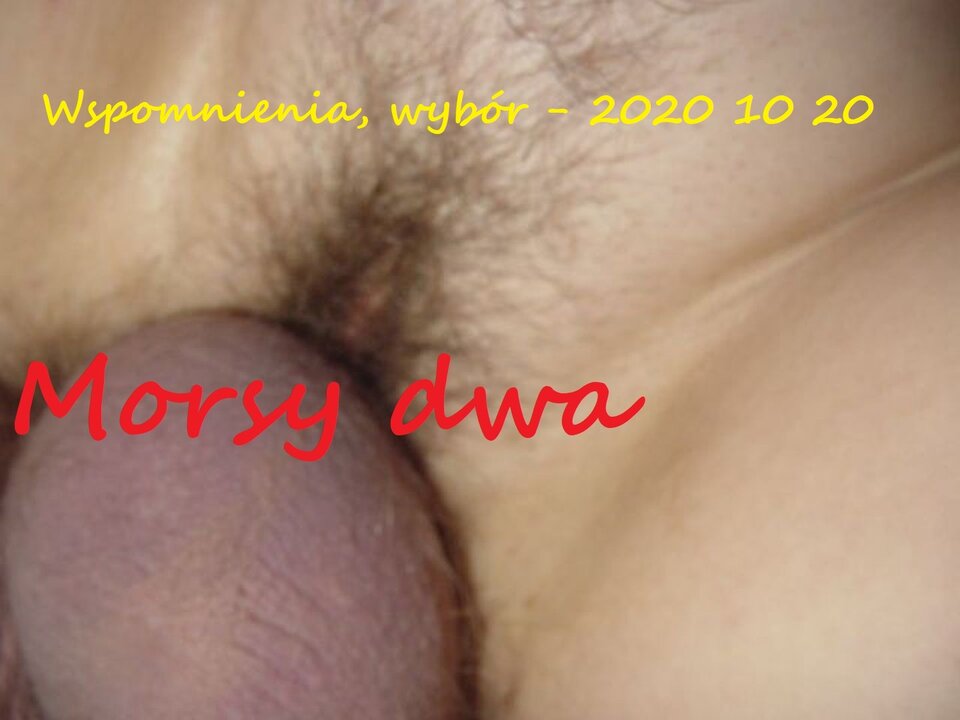 Wspomnienia rok 2005. - Morsy_dwa