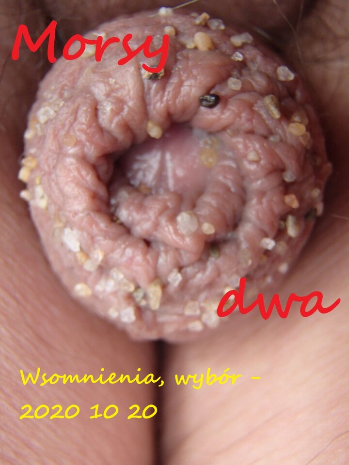 Wspomnienia rok 2013. - Morsy_dwa