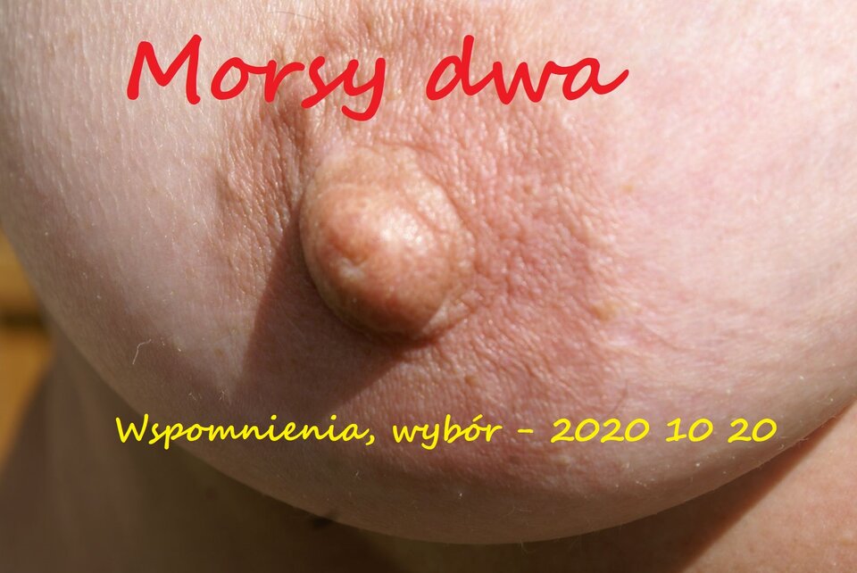 Wspomnienia rok 2008. - Morsy_dwa