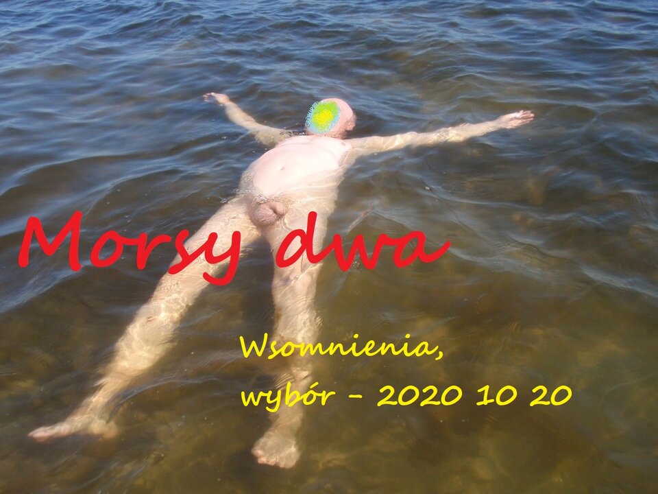 Wspomnienia rok 2011. - Morsy_dwa