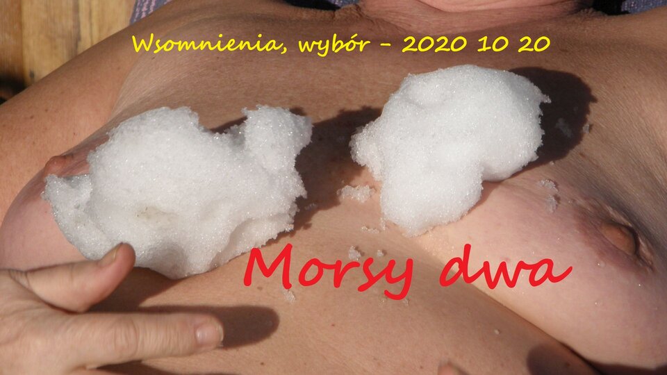 Wspomnienia rok 2017. - Morsy_dwa