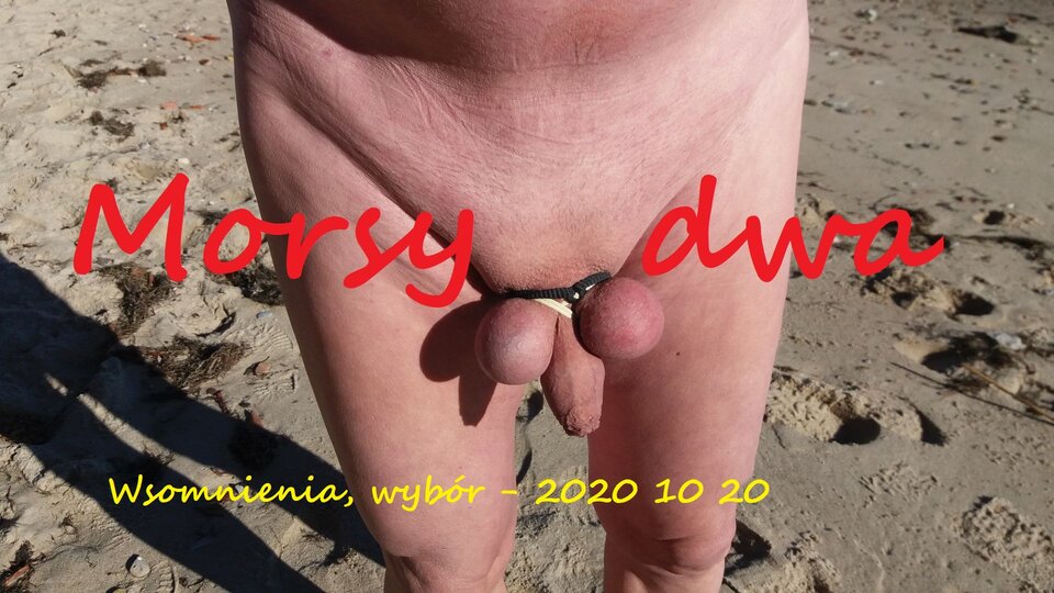 Wspomnienia rok 2019. - Morsy_dwa