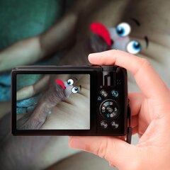 photostudio_1603302451484.jpg