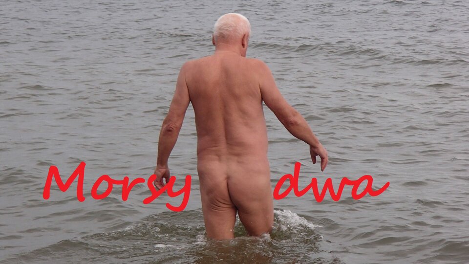 Jesienne wyjście. - Morsy_dwa