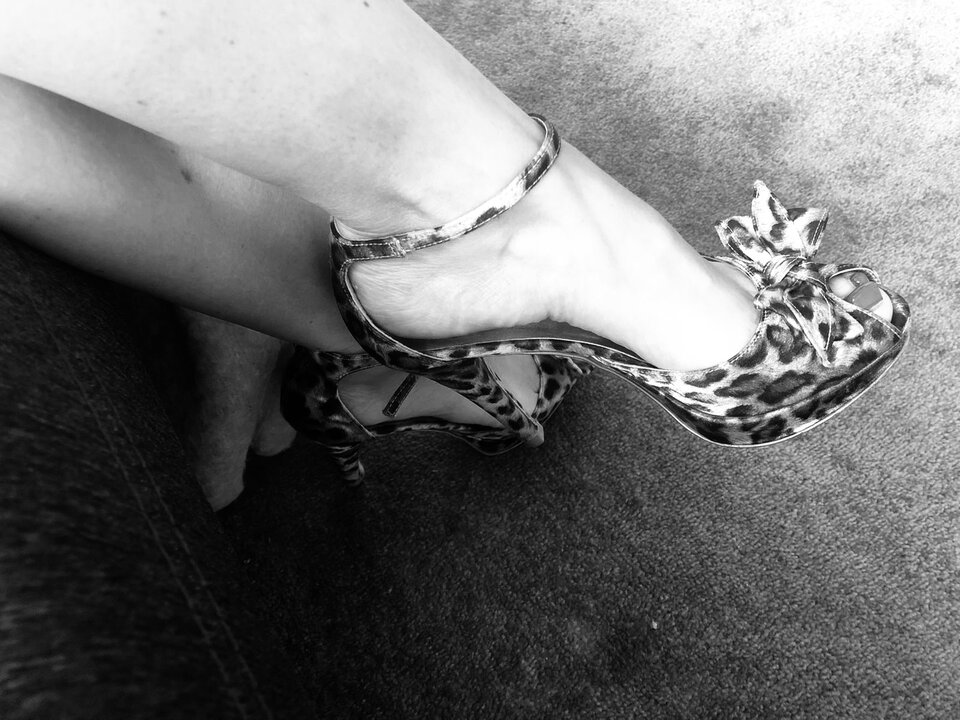 DB104754-4BFE-4FD2-8FFB-38C0DCA8A609.jpeg - Dh1985