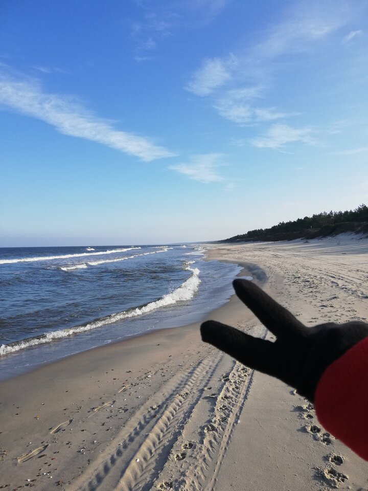 IMG_20201023_100806.jpg - crivakris4443