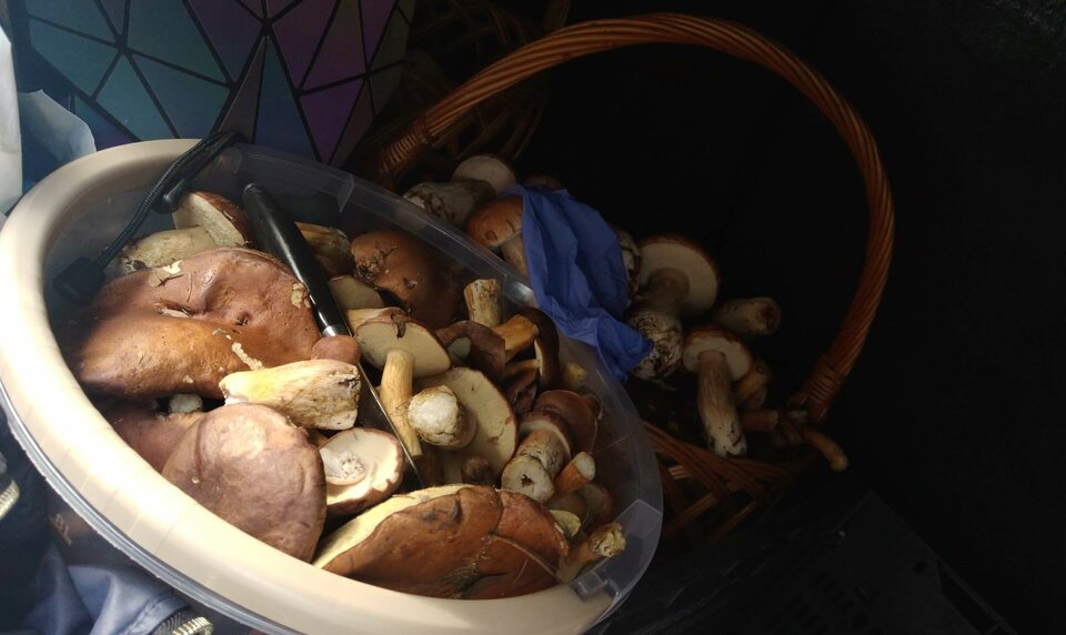 received_2825140631035581.jpeg - CzornyDuzy