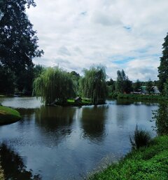 IMG_20201023_170747.jpg
