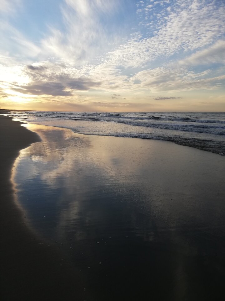 IMG_20201023_164633.jpg - crivakris4443