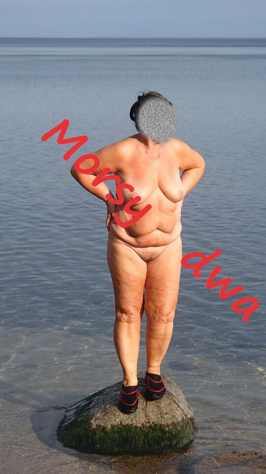 Babie Doły, - Morsy_dwa