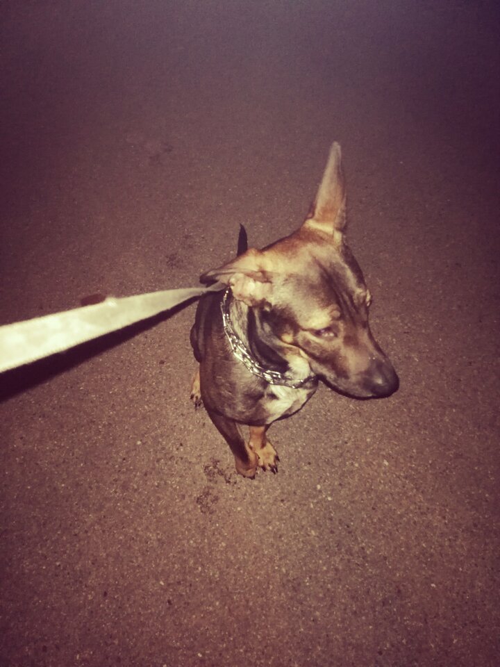 IMG_20201024_223820.jpg - Roderich30