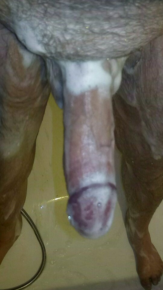 IMG_20201025_131815.jpg - Tomek698107