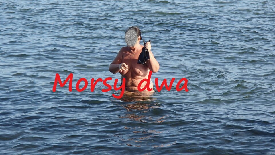 Dzisiaj Babie Doły. - Morsy_dwa