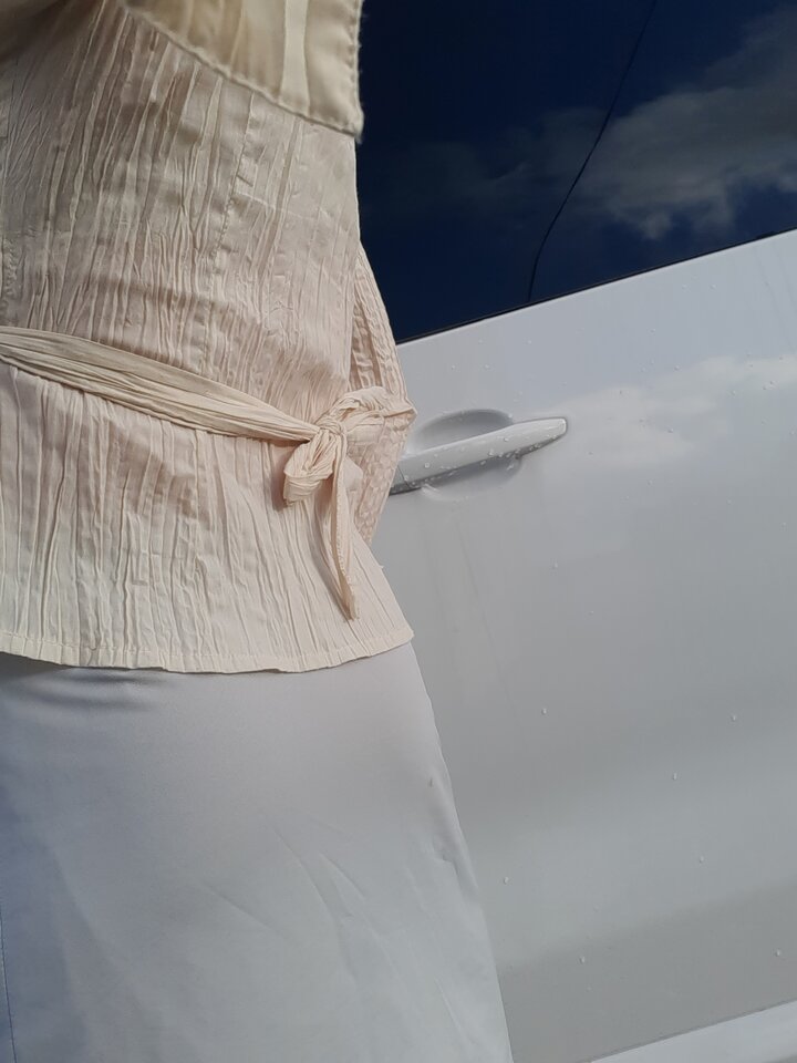 16036312094897429956751191213338.jpg - Palciusia