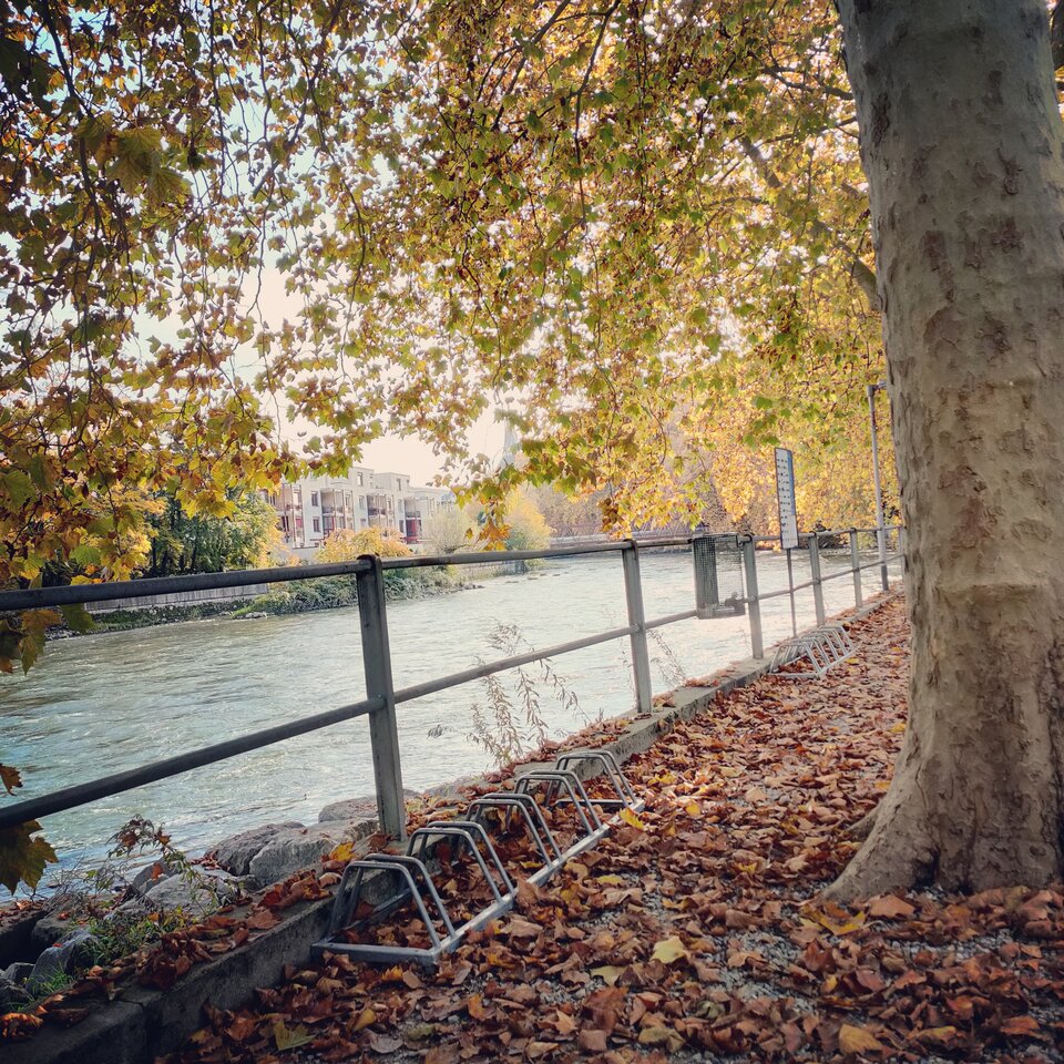 IMG_20201025_153513_773.jpg - Daltonik20