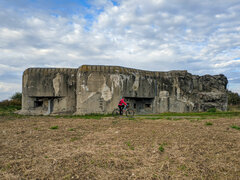 IMG_20201010_152843.jpg