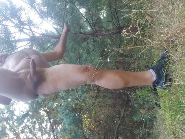 Robertoobi