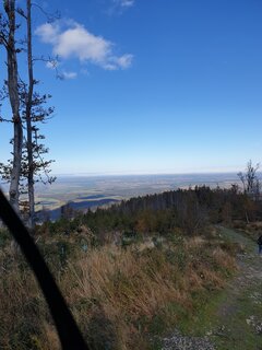 20201025_121738.jpg
