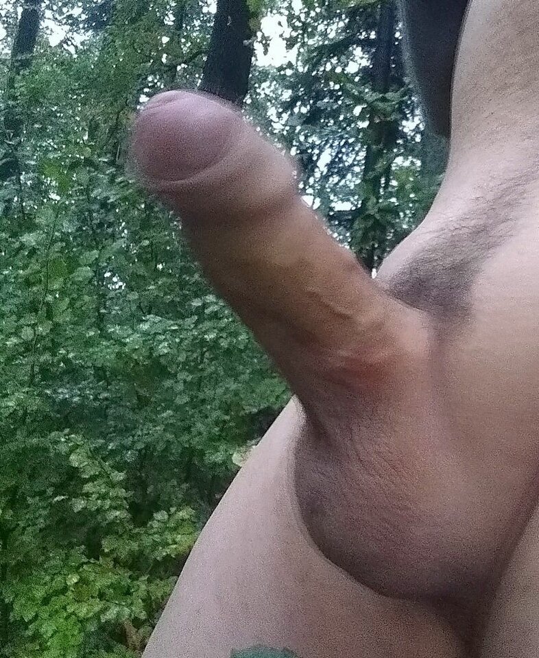 image001.jpg - Iguana007