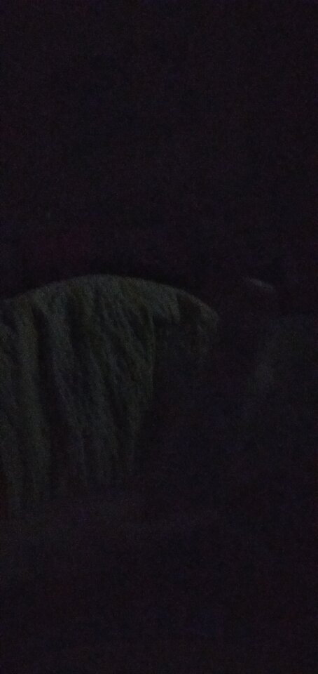 IMG_20201028_015045.jpg - Hjk18