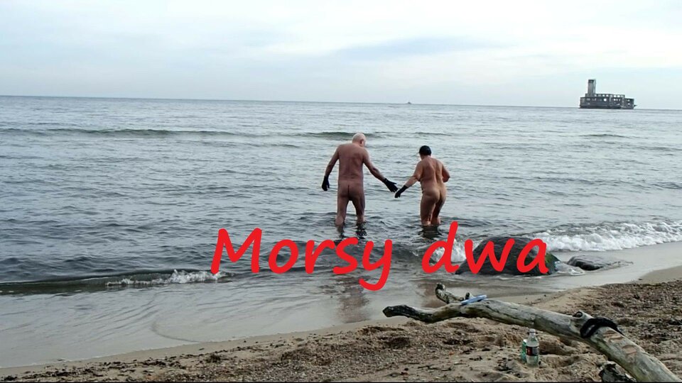 28 X 20 Babie Doły - Morsy_dwa